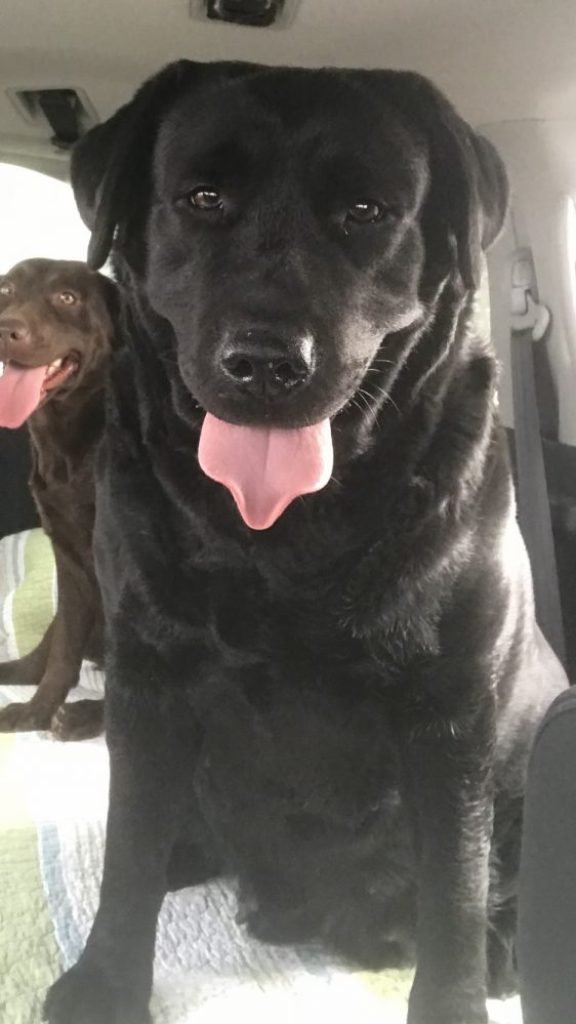 Photo-Dec-02-13-33-39-1