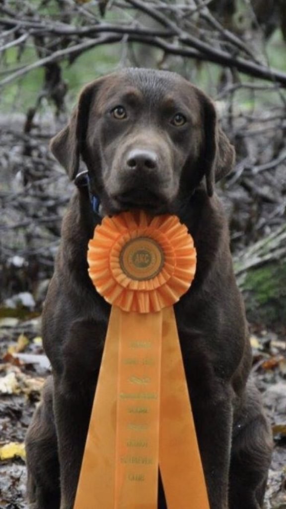 Photo-Dec-04-11-07-26-1-e1571414632861