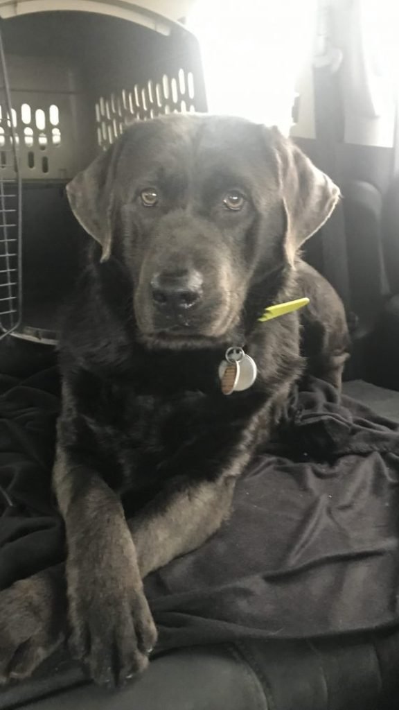 Photo-Dec-31-10-24-17-e1571664190369