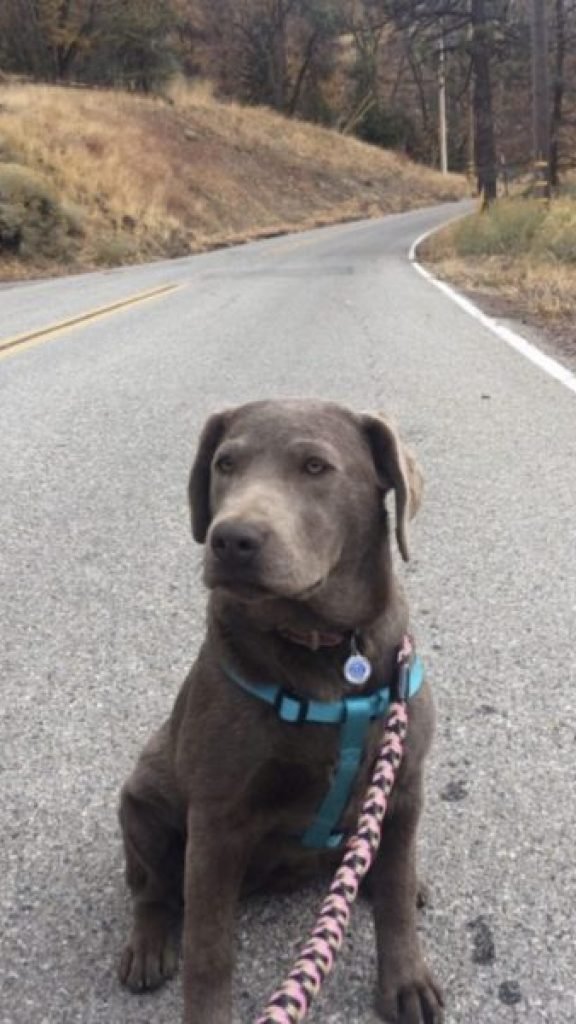 Photo-Oct-10-09-44-59-400x600