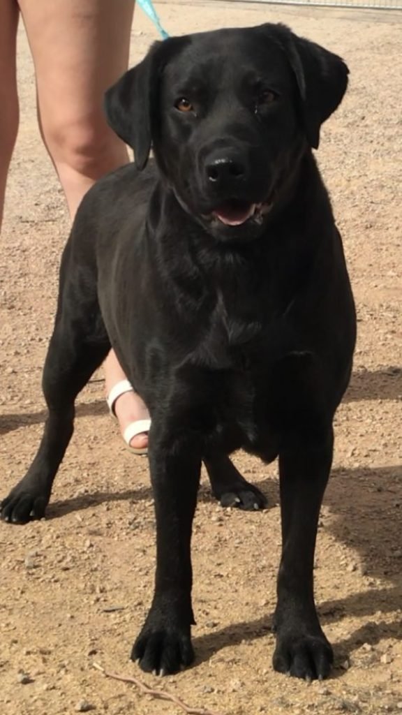 Photo-Sep-24-17-28-43